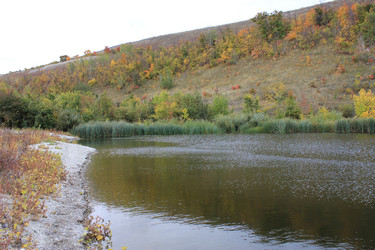 Similar image 817548