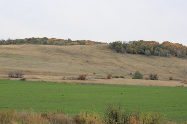 Similar image 817551