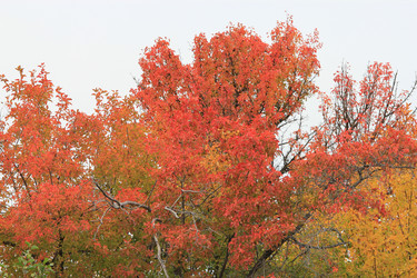 Similar image 817553