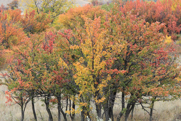 Similar image 817554