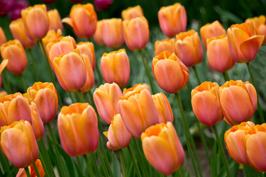 Similar image 817602