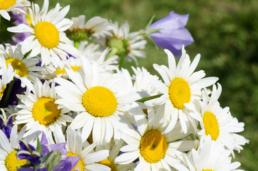 Similar image 817612