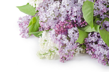 Similar image 817615