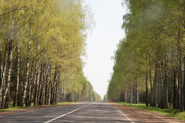 Similar image 817618