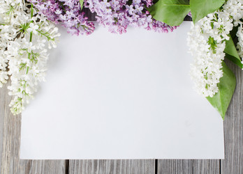 Similar image 817619