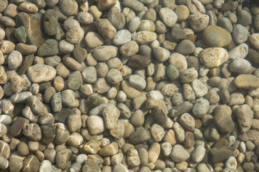 Similar image 817645