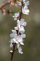 Similar image 817647