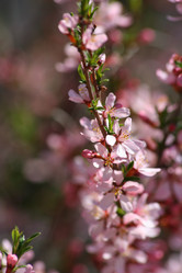 Similar image 817648