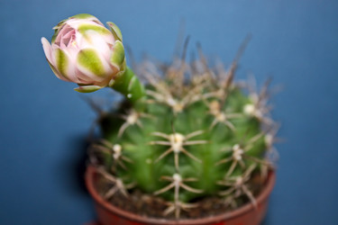 Similar image 817649