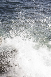 Similar image 817651