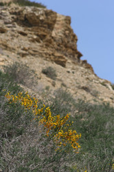 Similar image 817659