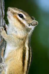 Similar image 817662