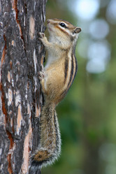 Similar image 817663