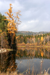 Similar image 817673