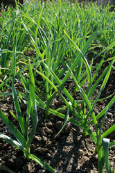 Similar image 817676