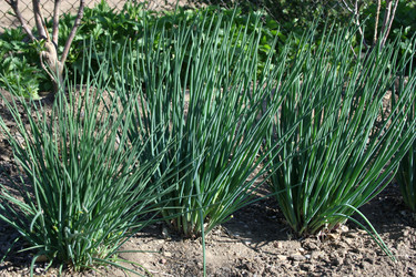 Similar image 817677