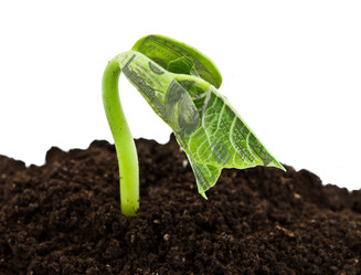 Similar image 817692