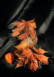 Similar image 817693