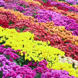 Similar image 817707