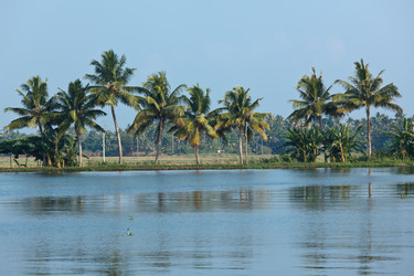 Similar image 817708