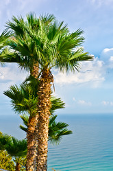 Similar image 817711