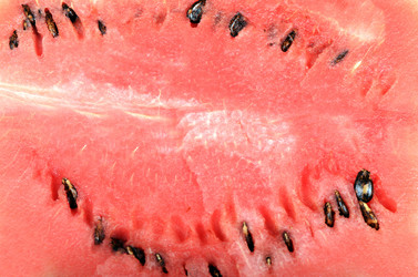 Similar image 817730