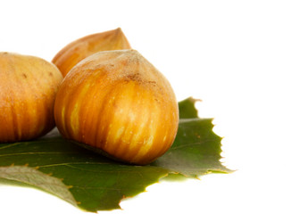 Similar image 817746