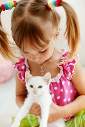 Similar image 817756