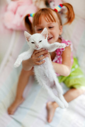 Similar image 817757