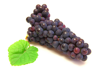 Similar image 817764