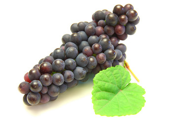 Similar image 817766