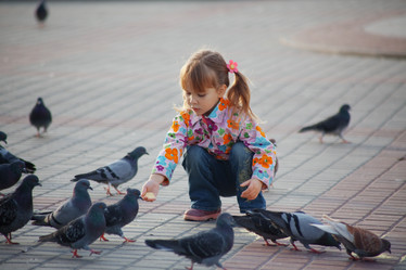 Similar image 817795