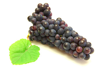 Similar image 817813