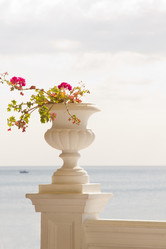 Similar image 817818