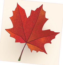 Similar image 817820