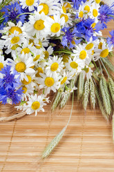 Similar image 817823