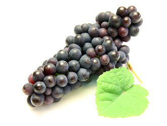 Similar image 817824