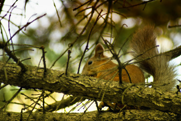 Similar image 817844