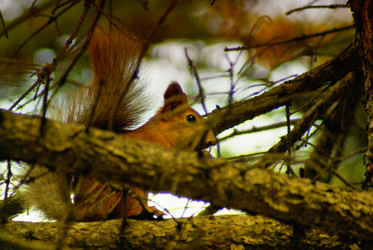 Similar image 817846