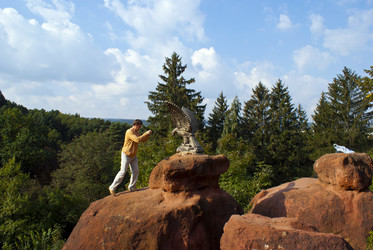 Similar image 817848