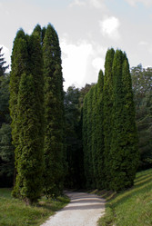 Similar image 817850