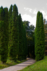 Similar image 817851