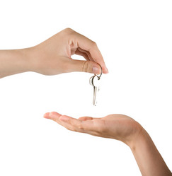 Similar image 817856