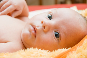 Similar image 817880