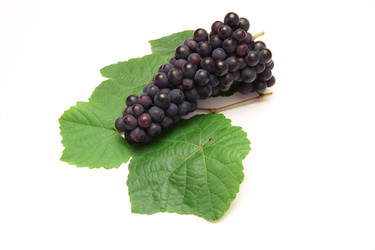 Similar image 817896