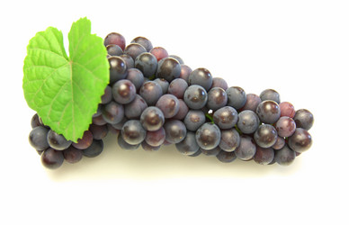 Similar image 817904