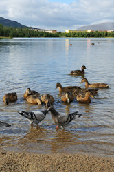 Similar image 817909