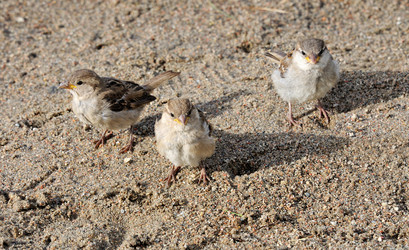 Similar image 817914