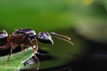 Similar image 817919