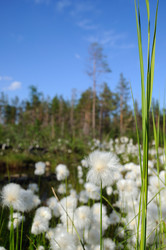 Similar image 817923